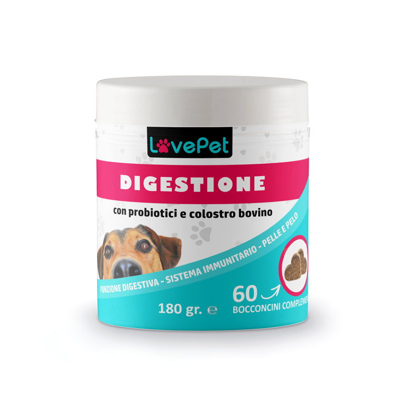 DIGESTIONE