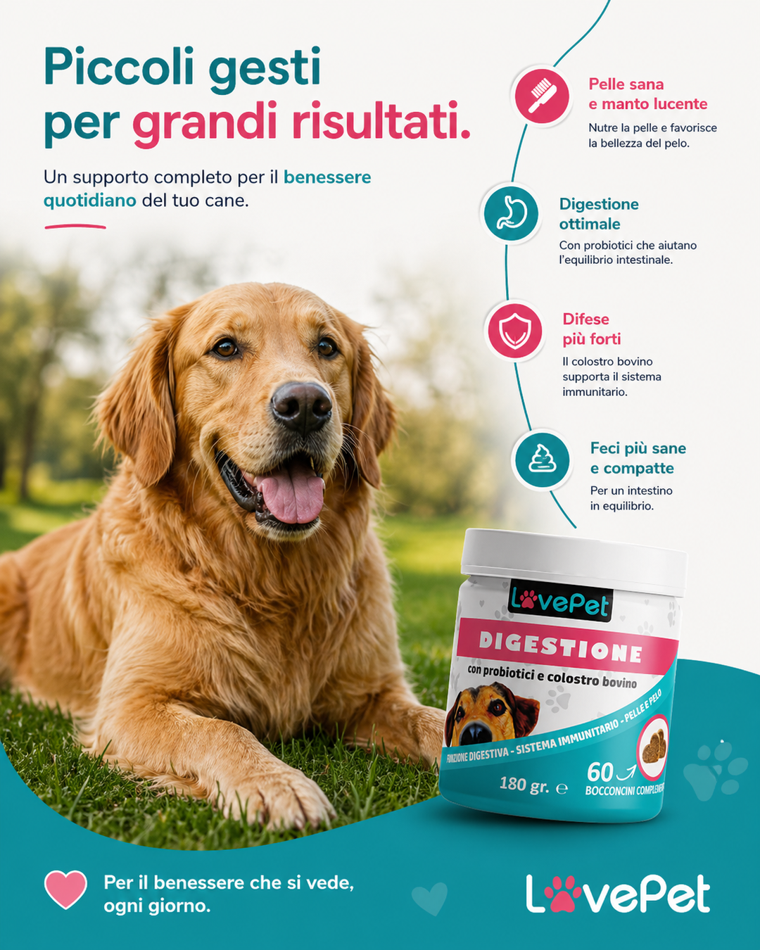 DIGESTIONE