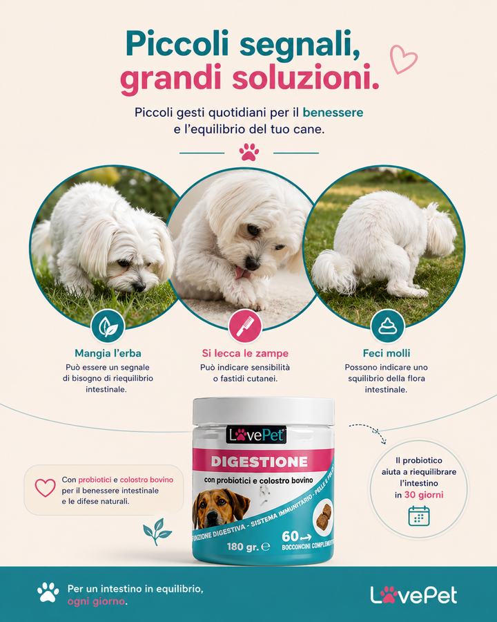 DIGESTIONE