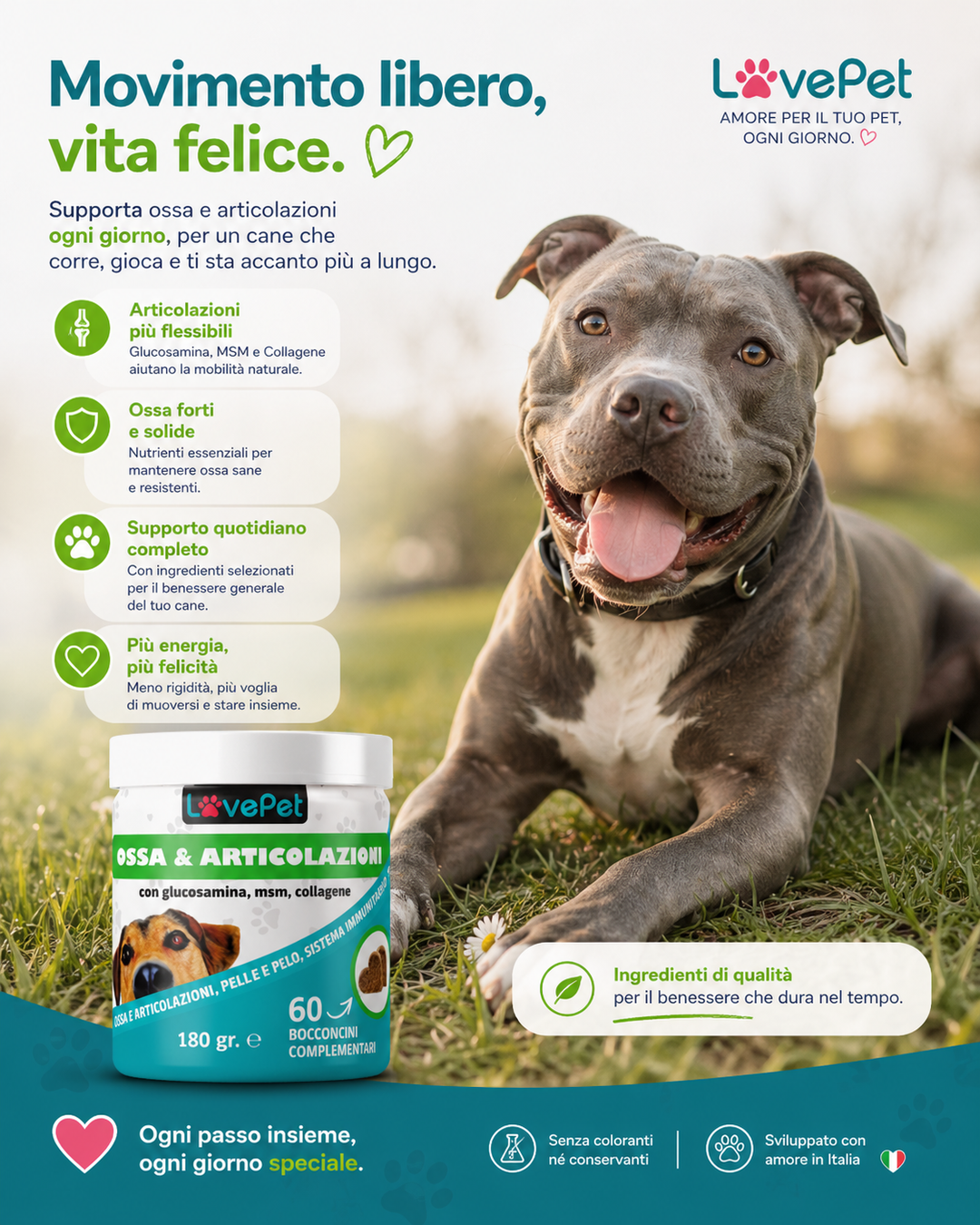 OSSA & ARTICOLAZIONI