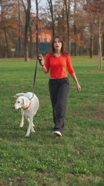 OSSA & ARTICOLAZIONI